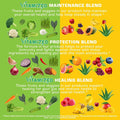 Superfood Fruits and Veggie Capsules - Overall Health and Energy - for Men and Women